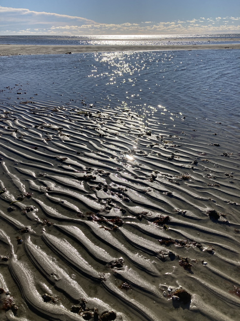 rippled sand at low tide